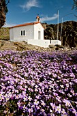 Chapel on Lesvos Island,Greece