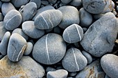 Sandstone beach pebbles