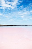 Pink lake,Australia