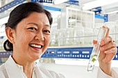 Dr Doreen Goh,teak cloning researcher