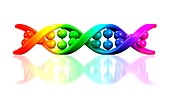 DNA molecule,artwork