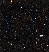 Stars in the Andromeda galaxy,HST image