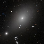 Giant elliptical galaxy,HST image