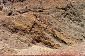 Iron-rich volcanic soil