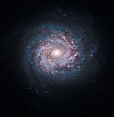 Spiral galaxy,HST image