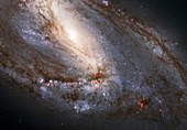 Spiral galaxy M66,HST image