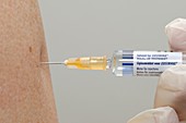 Zostavax anti-shingles vaccination
