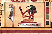 Thoth and the Feather of Law