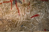 Marsoulas cave painting replica