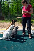 Dog trainer,Wolf Science Center,Austria