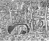 Elephant trapping,16th century