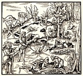 Mineral mining,16th Century artwork
