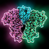 Erythropoietin molecule bound to receptor