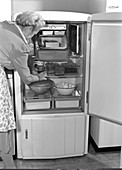 Refrigerator,1940s