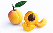 Apricots (Prunus armeniaca)