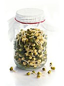 Soya bean (Glycine max) sprouts