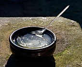 Frozen bird bath