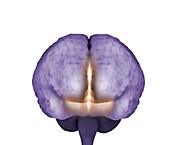 Psychic brain,conceptual image