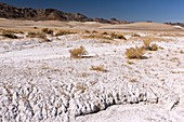 Borax-rich soil,Mojave Desert,USA