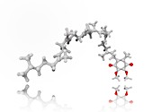 Coenzyme Q10 molecule
