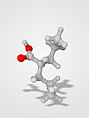 Valproic acid anticonvulsant molecule