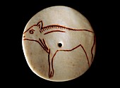 Stone Age (Magdalenian) bone disc