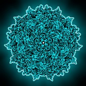 Adeno-associated virus capsid