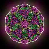 HK97 bacteriophage capsid