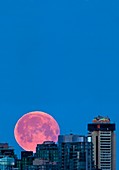 Moon setting over Vancouver skyline
