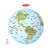 Global winds,planetary model