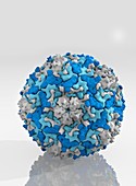 Enterovirus particle