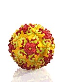 Enterovirus particle