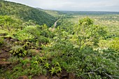 Imfolozi Game Reserve,South Africa