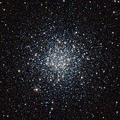 Globular star cluster M55,infrared image