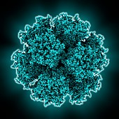 Adenovirus penton base protein