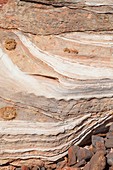 Broome sandstone,Australia