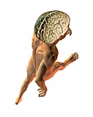 Human brain on walking man,artwork