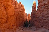 Switchbacks,Utah,USA