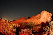Arch Rock at night,USA