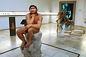 Homo heidelbergensis,museum display