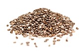 Chia seeds