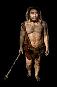 Neanderthal model