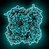 Flu virus surface protein molecule