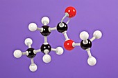 Methyl butanoate,molecular model