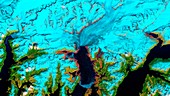 Columbia Glacier,Alaska,2006