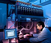 Chikungunya virus research