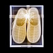 Coloured x-ray of slippers in a gift box