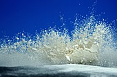 Flour impact,high-speed image