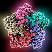 Lumazine synthase molecule