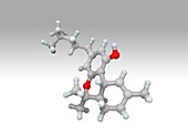 Tetrahydrocannabinol,molecular model